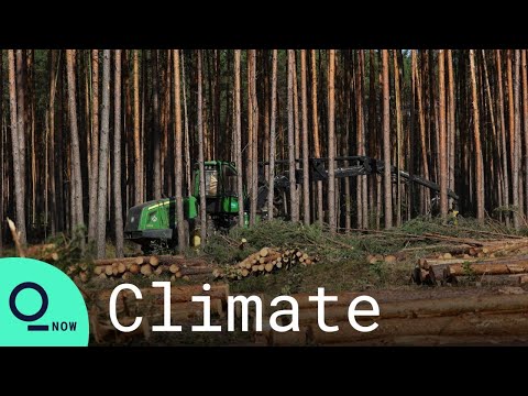 Tesla Gets Second Court Order to Halt Work on German Factory