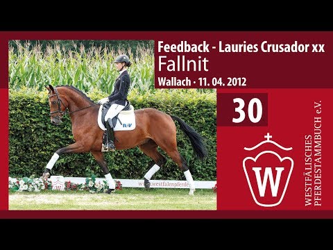30 Fallnit Wallach v. Feedback  Lauries Crusador xx