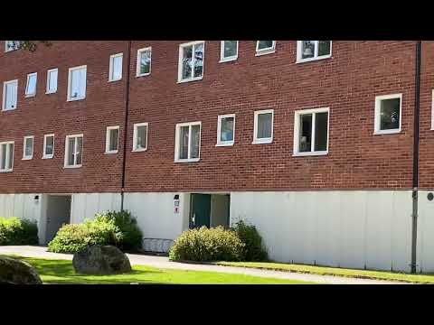 Kortedala, 21 maj 2020