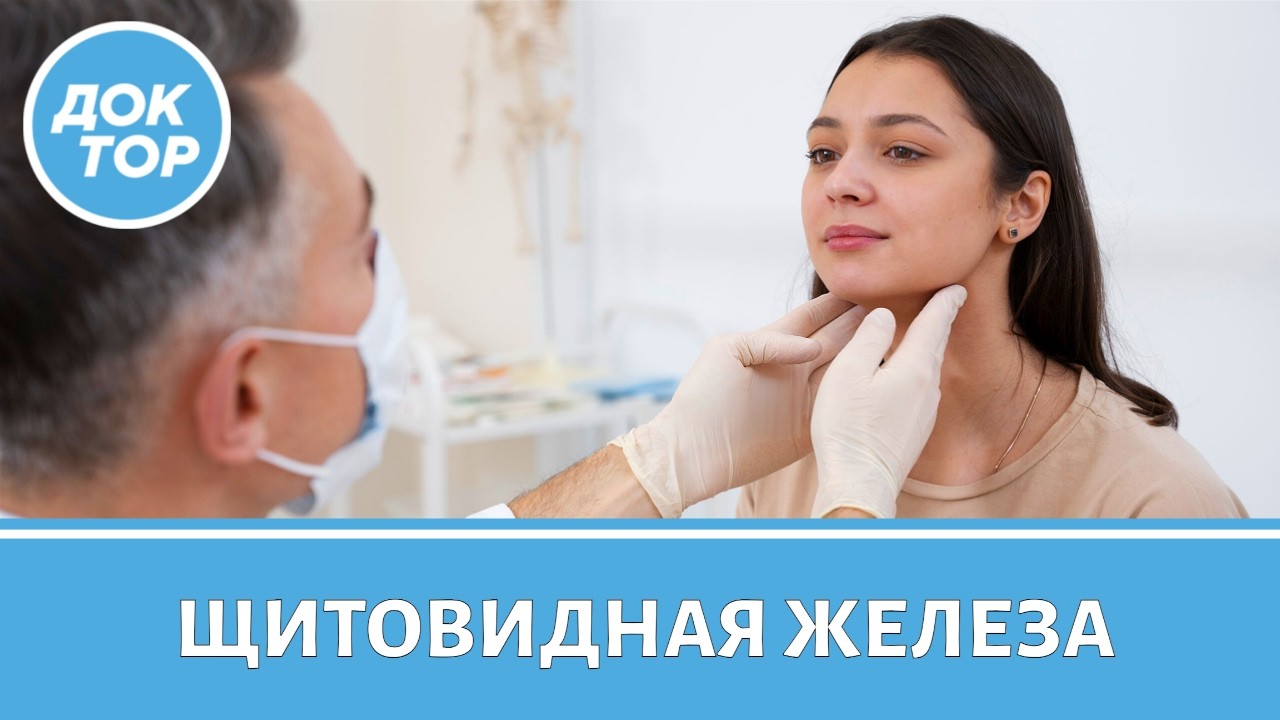 Врач-эндокринолог отвечает на главные вопросы о щитовидной железе