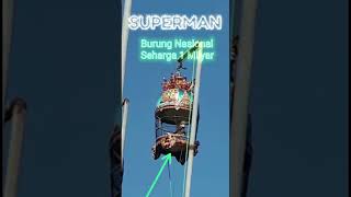 Download lagu Burung perkutut Superman sang juara Nasional #burungperkututbangkok #perkutut #perkututlomba mp3