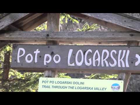 Logarska dolina - pristine alpine valley