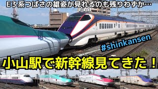 【E3系つばさも残りわずか･･･】小山駅へ東北新幹線を見に行ってきた！ #shinkansen #oyama