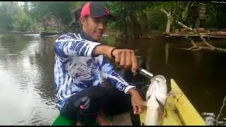 preview picture of video 'Mancing Hampala sungai singkawang'