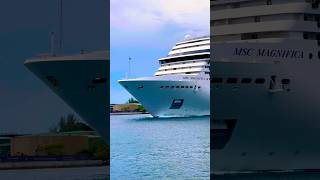 MSC Magnifica 🛳️ #like #share #comment #subscribe #cruiseship #cruise #vacation #shorts #short #fun