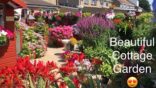 Breathtaking English Cottage Garden In Full Flower. Slow Tour walk around. Stunning. Amazing.