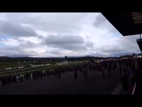 Punchestown Champion Bumper