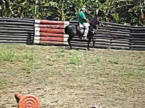 Fantástico de la Querencia 21-06-2012