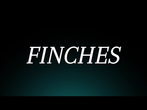 Learn How to Pronounce 'Finches'! Correctly (Bird Pronunciation)