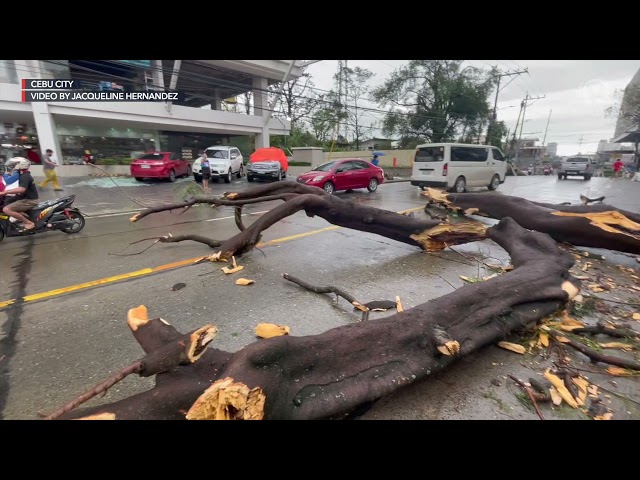 Typhoon Odette in Cebu: Queen City in ruins