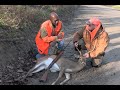 Virginia Veterans deer hunt with hounds - Operation D.A.P (Dues Already Paid) #runningdog #buckshot