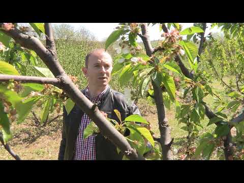 Imamo rešenje ep. 49 27.04.2020. NAJAVA