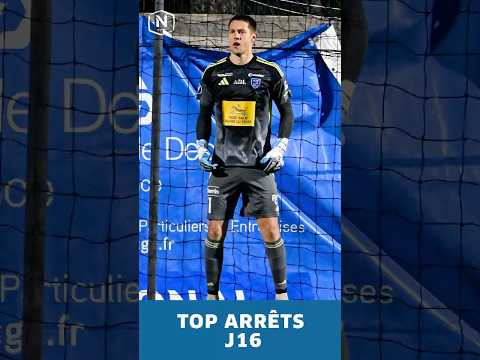 Le Top Arrêts de la J16  #nationalfff  #football