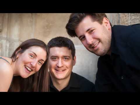 Johannes Brahms - Trio op. 40 für Horn, Violine und Klavier, 3. Satz