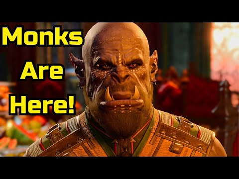 Baldur's Gate 3 Levels 1-6 Early Game Monk Guide