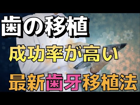 生命歯学科 【最新の治療】成功率の高い最新歯牙移植法！歯の移植の成功率を高めるためのポイントをお教えします！保険が効かない自由診療の歯の移植は何が違うの？徹底解説していきます！