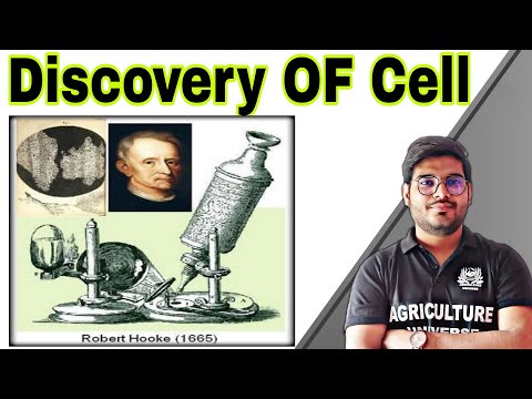 what is Crop physiology crop physiology kya hai crop physiology bsc ag second semester