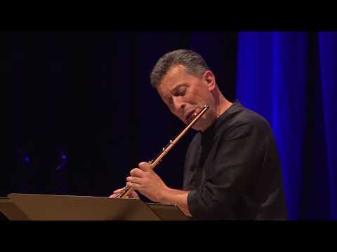 Astor Piazzolla - Cafe 1930 from History of Tango, Dejan Gavric-flute,Goran krivokapic-guitar