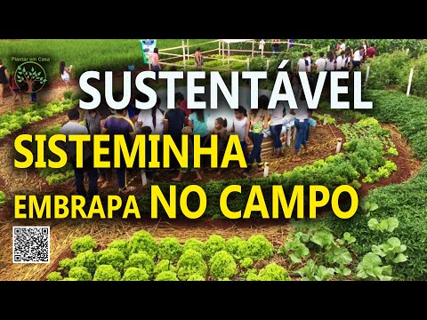 , title : 'Curso   Sisteminha Embrapa UFUFAPEMIG Integração com olericultura   Parte 2'