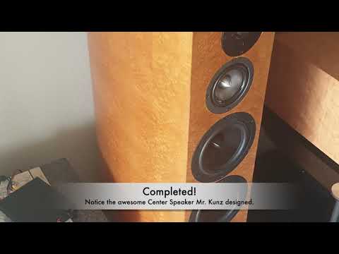 Clearwave 4 TSE Tower Speaker Build DIY