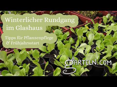 Winter tour of the greenhouse: Tips for plant care & a fresh start to spring 🌱❄️