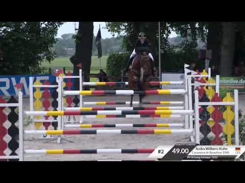 Casanova De Beaufour DXB (Kashmir Van’t Schuttershof x Diamant De Semilly) 145cm in Gut Eichhof!!☝🏻💫