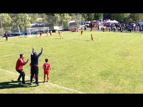 RESTV / Villarreal C.F. 3 - C.D. Malilla 2 / Benjamín / Final Oro