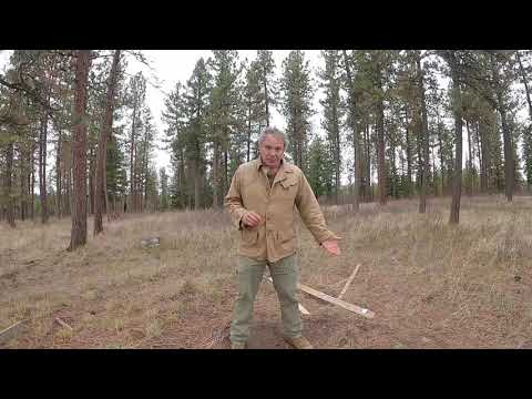 Frequently Asked Questions Part 7 (700k Subscriber Special)