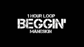 Download lagu Måneskin - Beggin' (1 Hour Loop) mp3 Download lagu Måneskin - Beggin' (1 Hour Loop) mp3