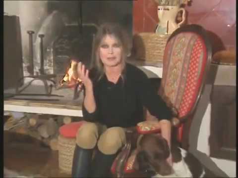 Interview de Brigitte Bardot (La Garrigue à Saint-Tropez - 1993) - 1ère partie