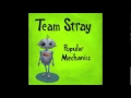 Team Stray "Edgewise"