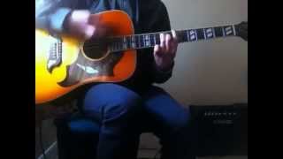 Andrew Jackson Jihad - Temple Grandin Acoustic Guitar Cover