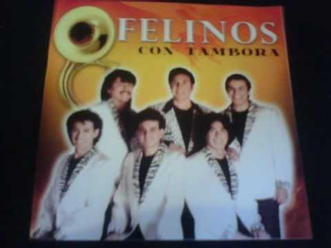 Los Felinos-de todo Michoacan