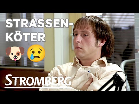 Ernie der Straßenköter | Stromberg HD