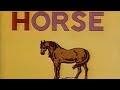 The Classic Sesame Street H Horse With Music And Sound Effects