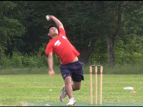 クリケットは飛べますか?