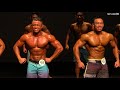 Fitness Ironman 2018 - Men's Physique (HomeTeamNS)*