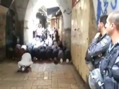 trimi është trim   - Namaz në Xhamin All Aksa