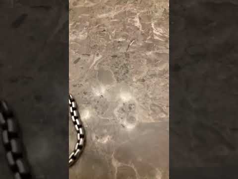 James Avery bracelet