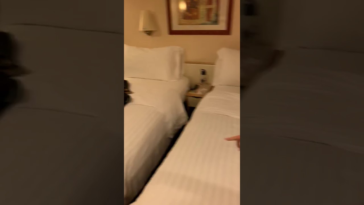 Voyager of the Seas - Cabin 6559 - Video 1