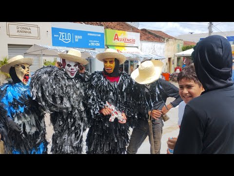 CÍCERO DANÇANDO NO DIA DO ANIVERSÁRIO DA CIDADE DE VERDEJANTE PERNAMBUCO 