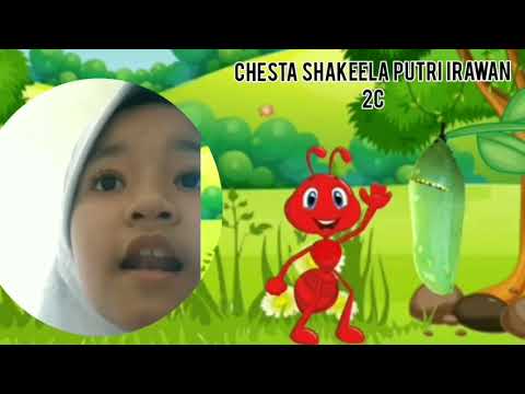 Kupu-Kupu Berhati Mulia - Dongeng Fabel