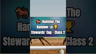 Hammer The Hammer – 8 Tipsters Back at 11/2 | Stewards’ Cup Pick 🏇 | HorsePicks Today