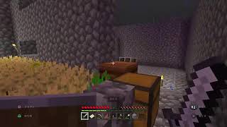 マイクラ ＃3 サバイバル生活！ （らうたん配信）