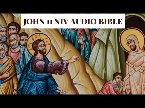 John 11 NIV AUDIO BIBLE(with text)