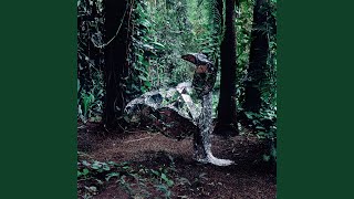 How I Became Paranoid