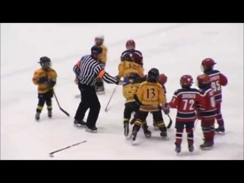 Best of Daniel Andersson (känsliga tittare varnas)