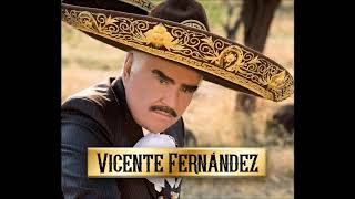 Vicente fernandez   alma de acero letra