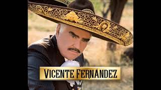 Vicente fernandez   alma de acero letra