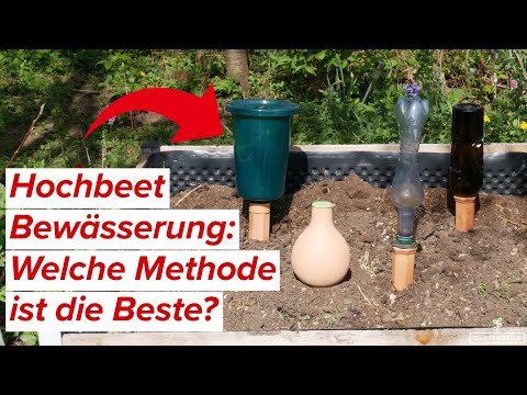 4 Bewässerungsmethoden für Hochbeet, Beete und Co - Welche ist die Beste?